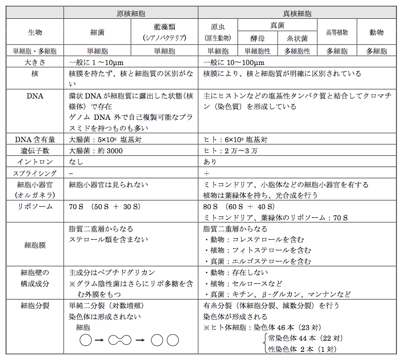 解説画像